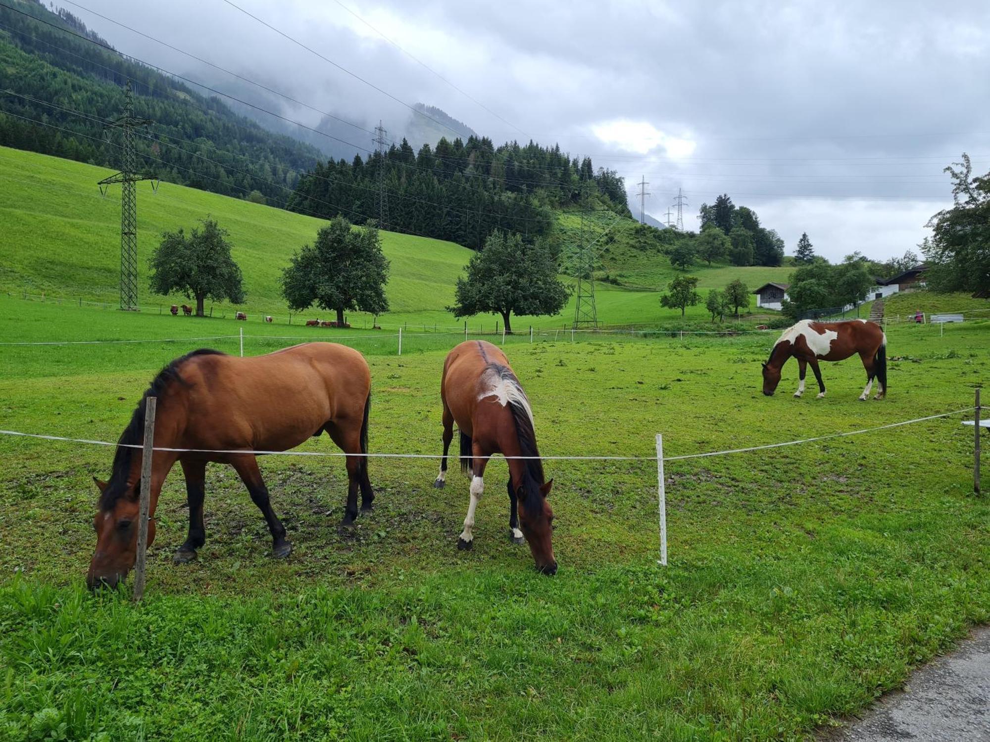 Ferienparadies Taxen Sankt Veit im Pongau Eksteriør bilde