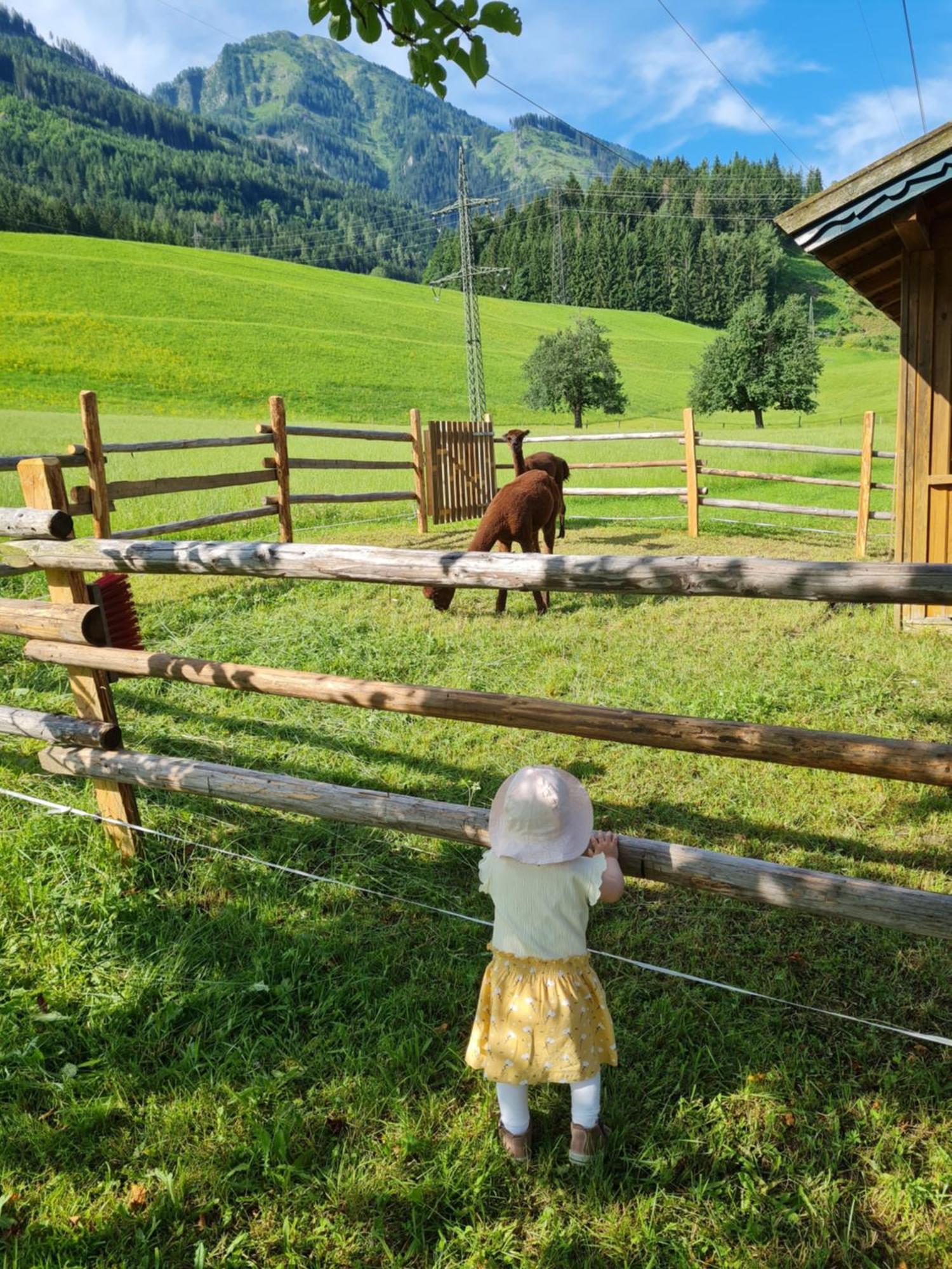 Ferienparadies Taxen Sankt Veit im Pongau Eksteriør bilde