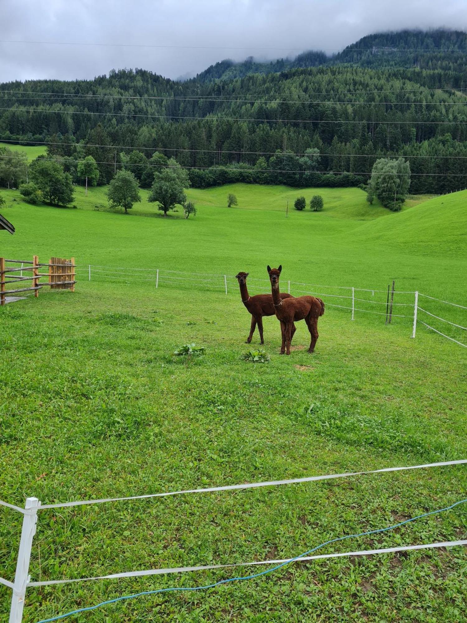 Ferienparadies Taxen Sankt Veit im Pongau Eksteriør bilde
